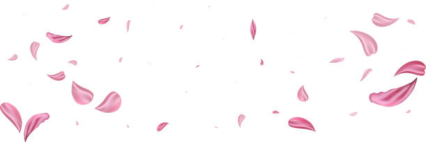 ilustraciones, imágenes clip art, dibujos animados e iconos de stock de pétalos de caída rosa rosa rosa. bonito fondo de textura pastel de flor. - pétalo