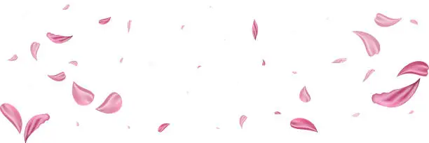 Vector illustration of Pink falling petals rose. Nice flower pastel texture background.