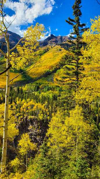 istock Autumn Aspen Mountain Contrast 1179852696