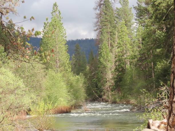 istock Stream in Yosemite National Park 1179853525