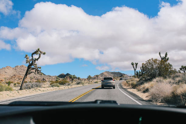 istock Road trip through the Joshua Tree and the Mojave desert 1179855358