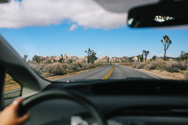 istock Road trip through the Joshua Tree and the Mojave desert 1179855381