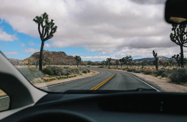istock Road trip through the Joshua Tree and the Mojave desert 1179855397