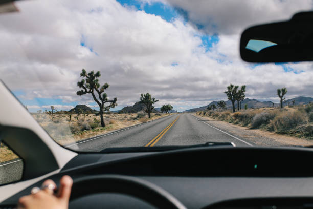 istock Road trip through the Joshua Tree and the Mojave desert 1179855449