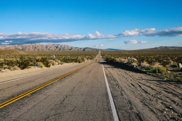 istock Road trip through the Joshua Tree and the Mojave desert 1179855521