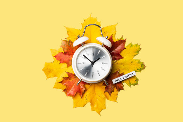 istock Alarm clock on red foliage isolated on yellow background 1179857531