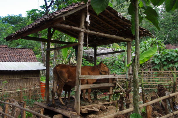 istock Village on the Java island in Indonesia 1179857899