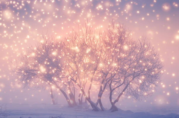 istock Magic fairy Christmas evening 1179858113
