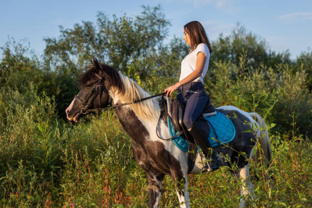 istock Recreational riding in nature 1179859241