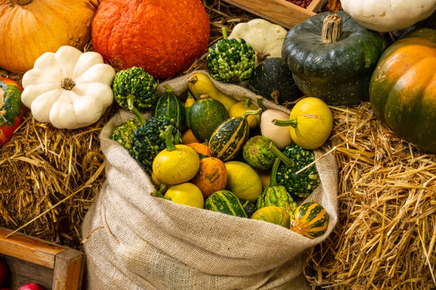 istock Harvested crop of autumn vegetables fall colours 1179859950