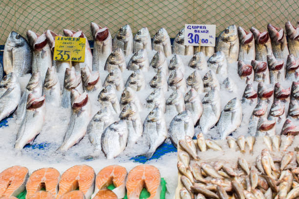 istock Fresh for sale at  fish market 1179860006
