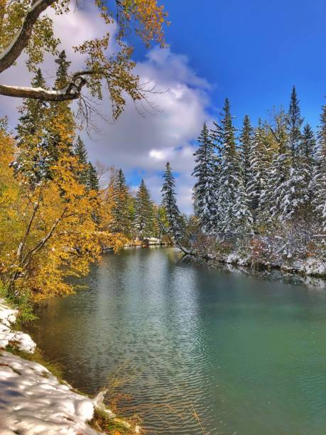 istock Bright Day By A Winter's Lake 1179860012