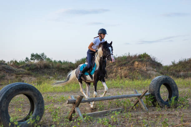 istock Girl jumping obstacles with pinto horse 1179860377