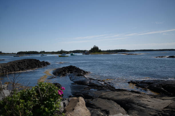 istock New Scotia_4718 1179864994