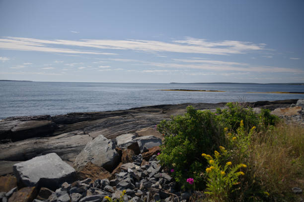 istock New Scotia_4723 1179865016