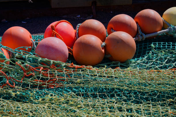 istock New Scotia_4869 1179865214