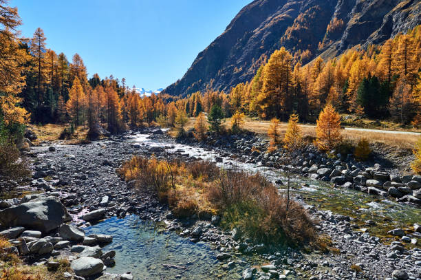 istock Beautiful alpine autumn landscape. 1179868501