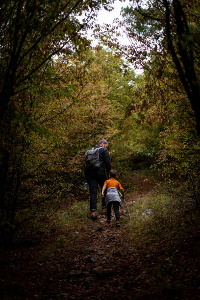 istock Father and son hiking and exploring forest together 1179877375