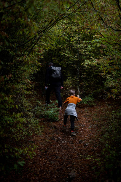 istock Father and son hiking and exploring forest together 1179878938