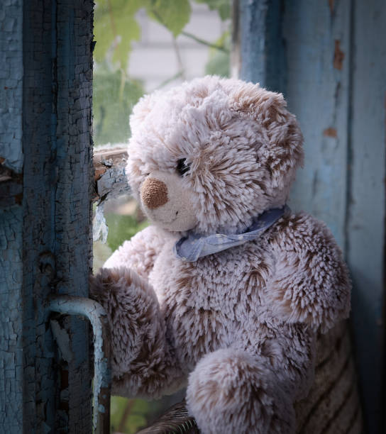 istock teddy bear sits on a windowsill and looks out the window 1179879078