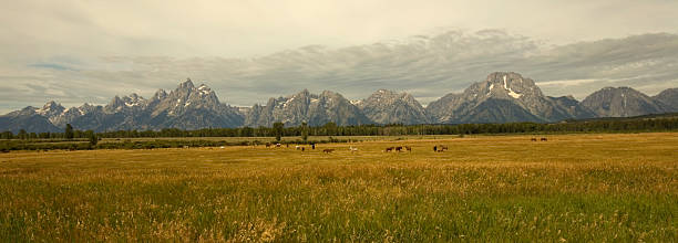 istock Grand Teton  Nation Park 117987978