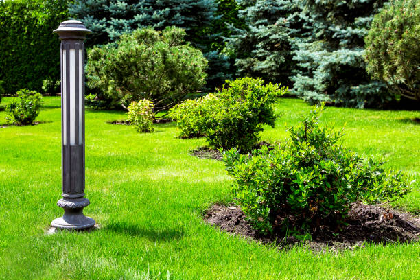 istock Ground iron lighting lantern mounted on green grass in a park with bushes and pine trees in a well-kept park. 1179880097