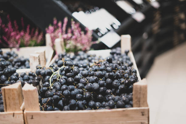 ciemne winogrona w drewnianym pudełku na kasie sklepowej. wino w tle. kreatywny handel, rozwiązania dekoracyjne. - wine bottle wine rustic liquor store zdjęcia i obrazy z banku zdjęć