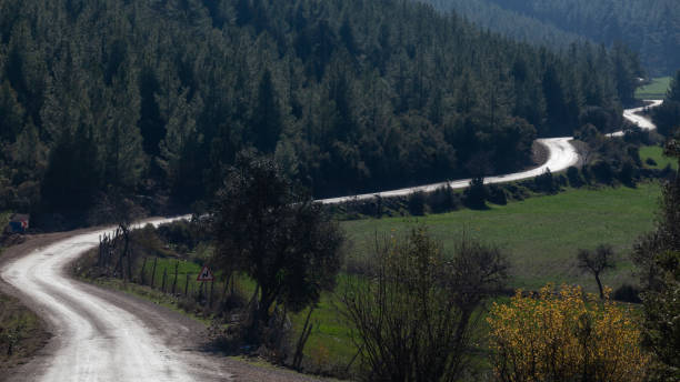 istock Single Lane Country Road 1179889749