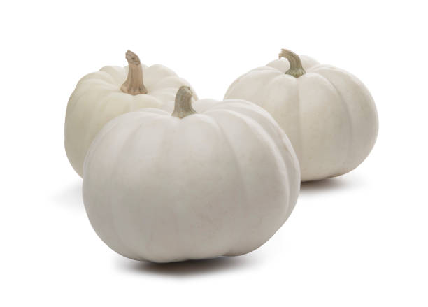 istock Autumn high key three White pumpkins on white background 1179890589