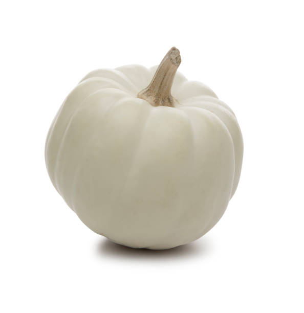 istock Autumn high key White pumpkin on white background 1179890590
