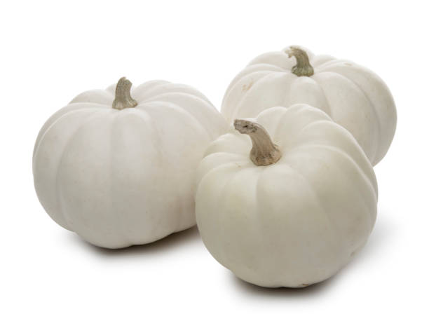 istock Autumn high key White pumpkins on white background 1179890591