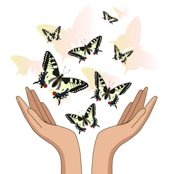 Vector illustration of Hands, let go of yellow beautiful butterflies. Isolate on white background. Vector illustration