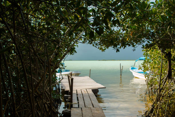 istock Tunnel in jungle to the lake 1179914566