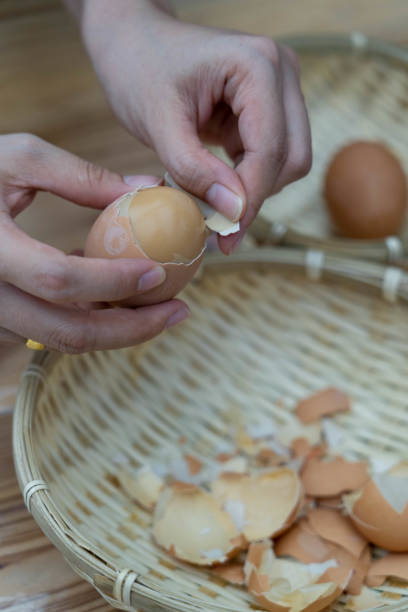 istock Beppu spring egg, people hold boiled yellow egg with two hands and peel off, Beppu spring egg from Kamado Jigoku Cooking Pot Hell Beppu Onsen, Oita, Japan. 1179915438