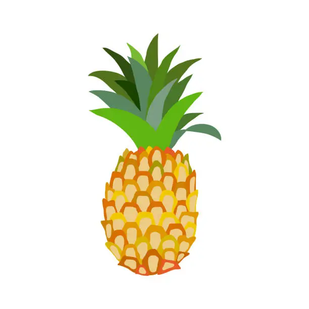 Vector illustration of Vector pineapple illustration in flat, cartoon style.