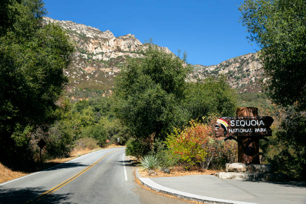 istock Sequoia and Kings Canyon National Park 1179919195