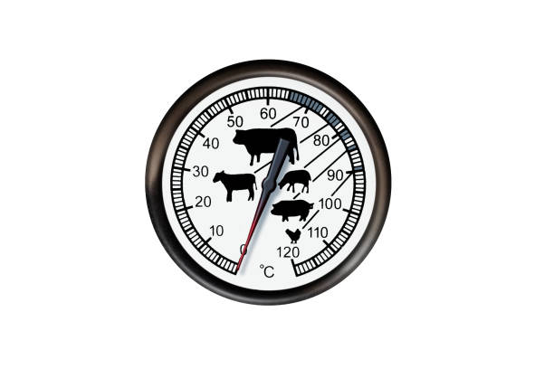 istock Meat thermometer isolated on a white background. Thermometer show 0 degrees 1179919354