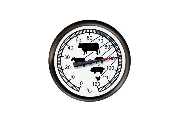 istock Meat thermometer isolated on a white background. Thermometer show 90 degrees 1179919357
