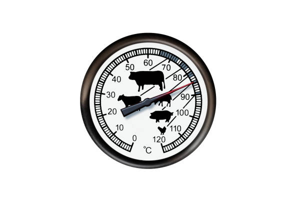 istock Meat thermometer isolated on a white background. Thermometer show 85 degrees 1179919361