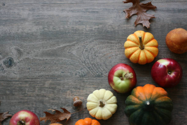 fall harvest background with pumpkins, acorn squash, fruit and leaves border over dark wood texture - macintosh apple imagens e fotografias de stock