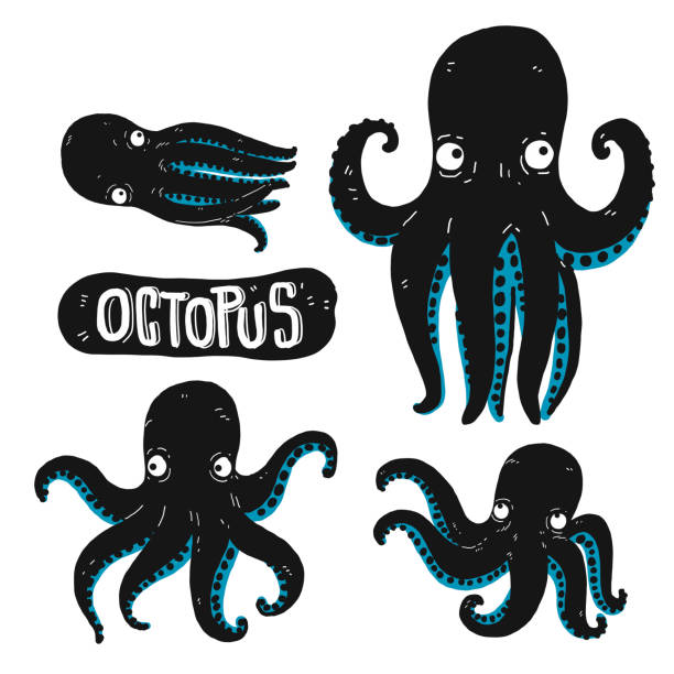 набор силуэта осьминога - octopus stock illustrations