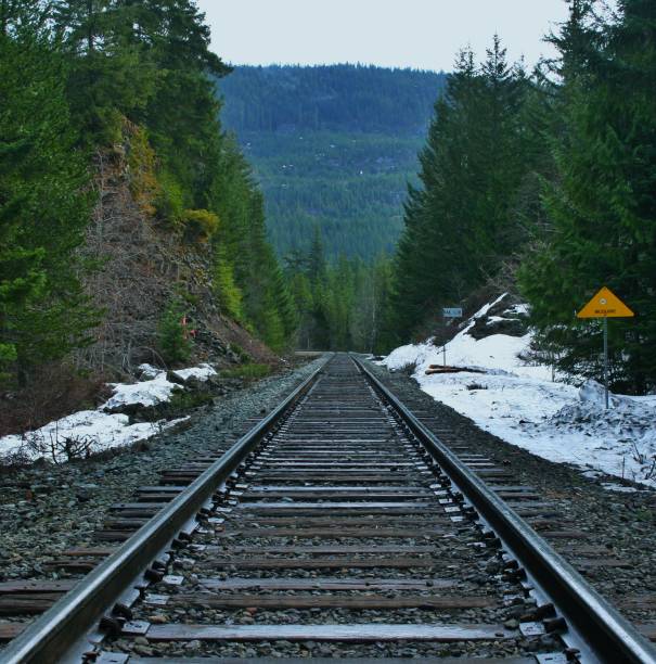 istock Canadian Rail Roads 1179923508
