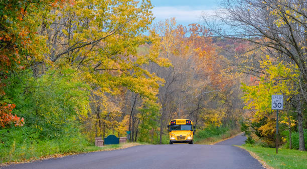 вид на школьный автобус на красочной улице миссури осенью - autumn landscape usa country road стоковые фото и изображения