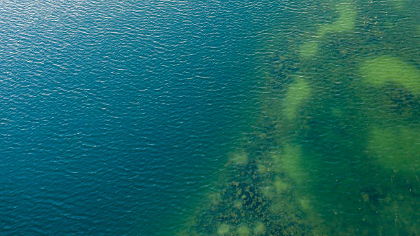 istock Blue sea water texture calm and peaceful background top view 1179925406