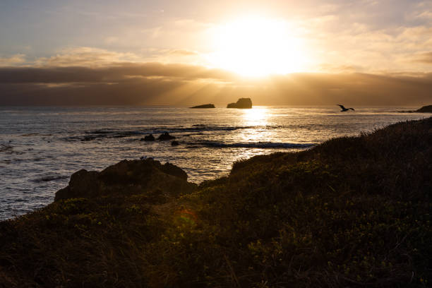 istock The seal bay in California state Route1 1179931415