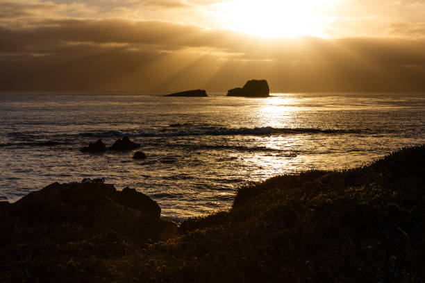 istock The seal bay in California state Route1 1179931441