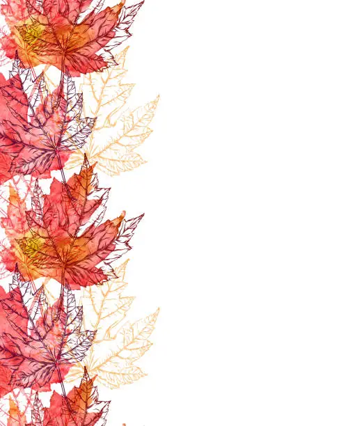 Vector illustration of Maple Leaf Vector Watercolor and Ink Seamless Pattern with Copy Space