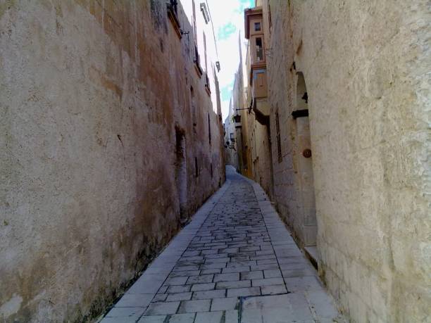istock Alleyway in Malta 1179935474