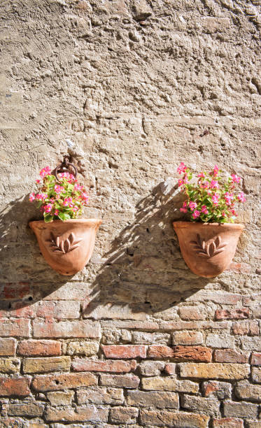 istock Flowers on the wall 1179938396