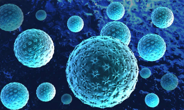istock Microscopic view of virus, bacteria, cell infected organism 1179938441